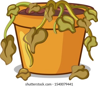 Dead plant in pot on white background illustration