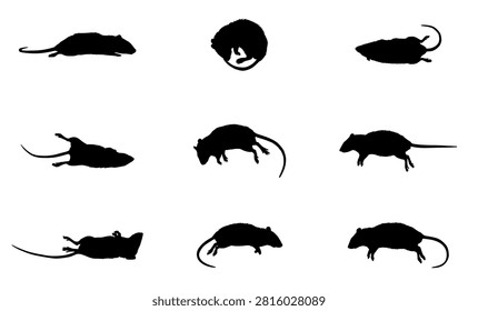dead rat silhouettes on white background