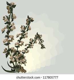 dead sapless plant background illustration in vector format