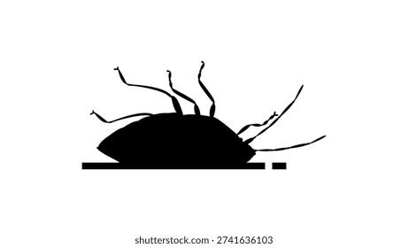 dead Spined Green Stink Bug, black isolated silhouette
