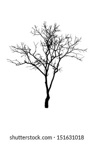 dead tree background