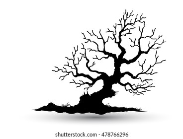 dead  Tree, Branch Silhouette  over white background,