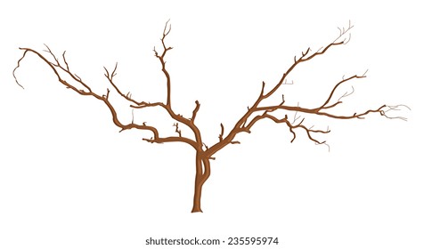 Dead Tree Branches Designs