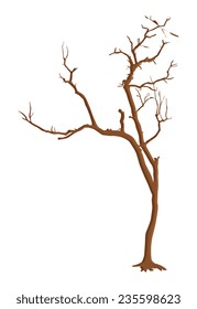 Dead Tree Branches Elements