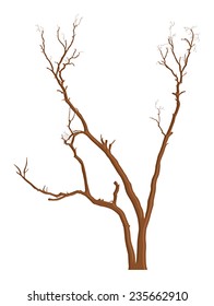 Dead Tree Branches Elements Design