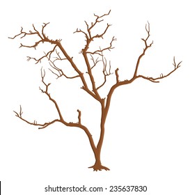 Dead Tree Branches Isolated