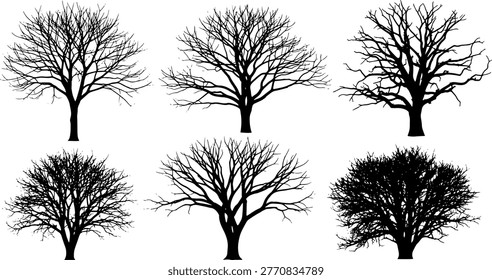 Dead tree branches, winter wood shapes, black silhouettes