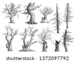 Dead tree collection illustration, drawing, engraving, ink, line art, vector
