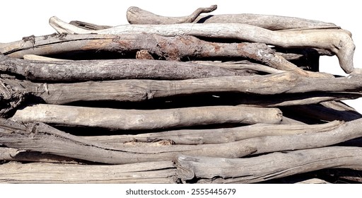 Dead tree cut out branches. Isolated dry tree branch. PNG file with transparent background. Wooden branch fallen.