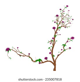 Dead Tree Flowers Branches