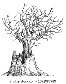 Dead tree illustration  drawing  engraving  ink  line art  vector