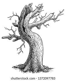 Dead tree illustration 