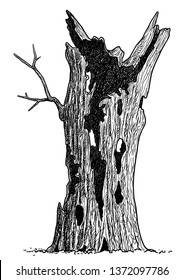 Dead tree illustration  drawing  engraving  ink  line art  vector