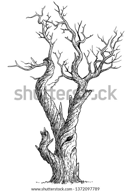 Dead Tree Illustration Drawing Engraving Ink Stock Vector