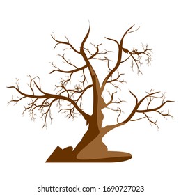 Dead tree isolated on white