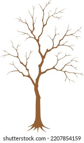 Un árbol muerto aislado en un fondo blanco