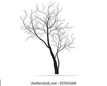 Dead tree isolated on white background,EPS 10.