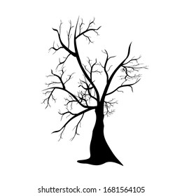 Dead tree isolated with white background
