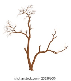 Dead Tree Shape Element