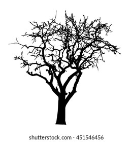 Dead tree silhouette
