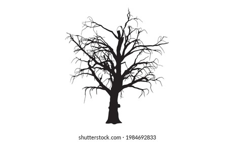 dead Tree silhouette on white background