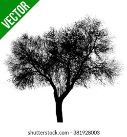 Dead tree silhouette on white background, vector illustration