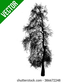 Dead tree silhouette on white background, vector illustration