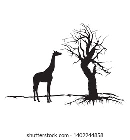 Dead tree silhouette. Vector old dry oak without leafs and giraffe isolated - Vector