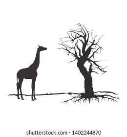 Dead tree silhouette. Vector old dry oak without leafs and giraffe isolated - Vector