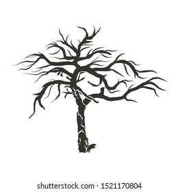 Dead tree silhouette. Vector old dry oak crown without leafs isolated on white