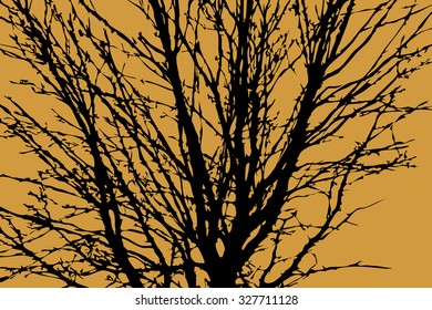 Dead tree silhouette. Vector old dry oak crown without leafs isolated on yellow. 
