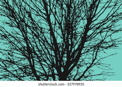Dead tree silhouette. Vector old dry oak crown without leafs isolated on blue. 