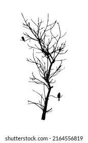 Dead tree silhouette. Tree without leaves clipart. Dry or naked tree vector illustrations.