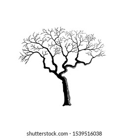 Dead Tree Simple Vector Art