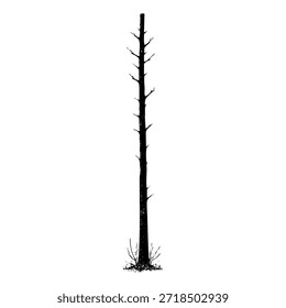 Árbol muerto de pie solo en un campo seco
