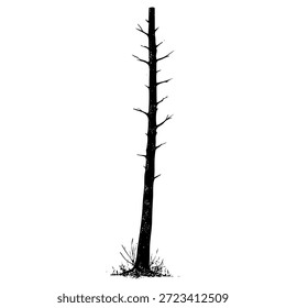 Árbol muerto de pie solo en un campo