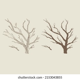 árbol muerto sin hojas. silueta.