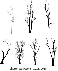 Dead Tree without Leaves Vector