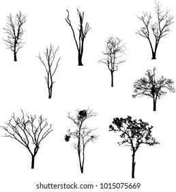 Dead Tree without Leaves Vector