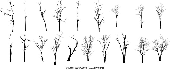 Dead Tree without Leaves Vector