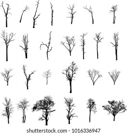 Dead Tree Without Leaves Vector Stock Vector (Royalty Free) 1016336947 ...