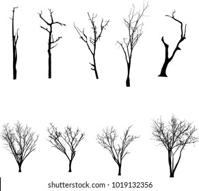 Dead Tree without Leaves Vector