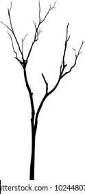 Dead Tree without Leaves Vector