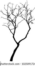Dead Tree without Leaves Vector