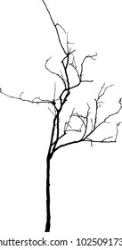 Dead Tree without Leaves Vector