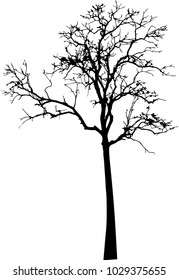 Dead Tree without Leaves Vector