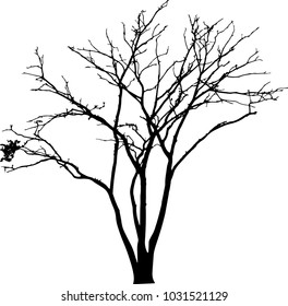 Dead Tree without Leaves Vector