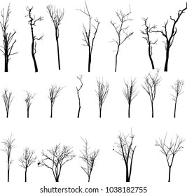 Dead Tree without Leaves Vector