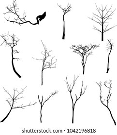 Dead Tree without Leaves Vector