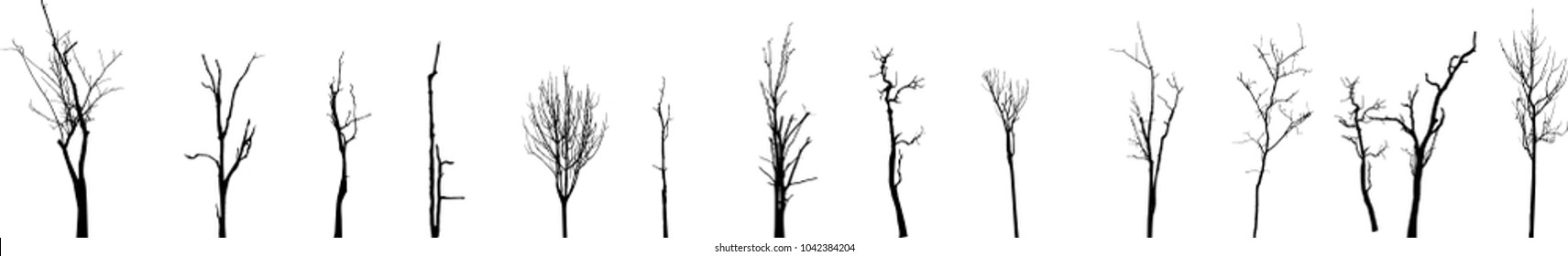 Dead Tree Without Leaves Vector